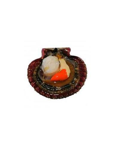 Volandeiras en salsa mariñeira