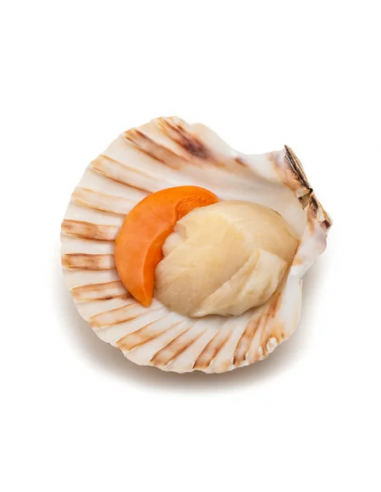 Ria Scallops in Marinera Sauce