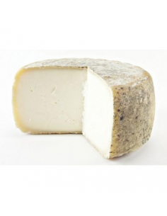 Cured Cheese