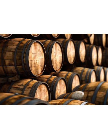 Cellar